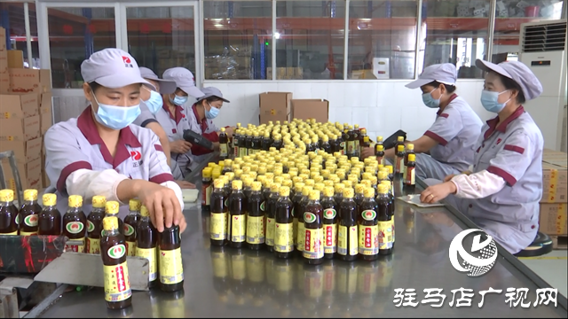 驛城區(qū)正道油業(yè)：借力農(nóng)加會，讓本土特產(chǎn)香飄四海