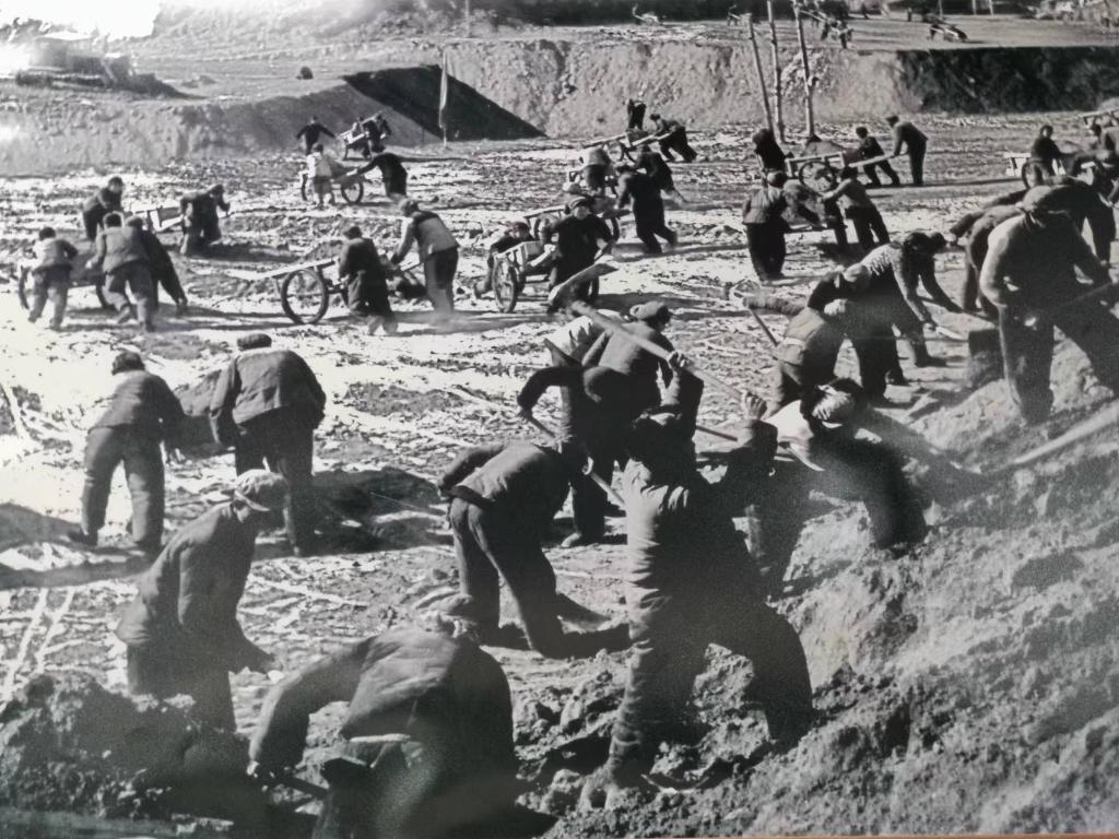 新時代新征程新偉業(yè)·習近平總書記關切事丨黃河之水天上來，奔流到此“青”幾許——黃河“幾字彎”生態(tài)治理一線故事