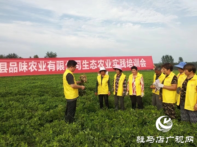 正陽縣：特色種植打造鄉(xiāng)村產業(yè)靚點
