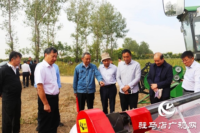 河南省農業(yè)良種聯(lián)合攻關項目——宜機收芝麻在駐馬店順利收割