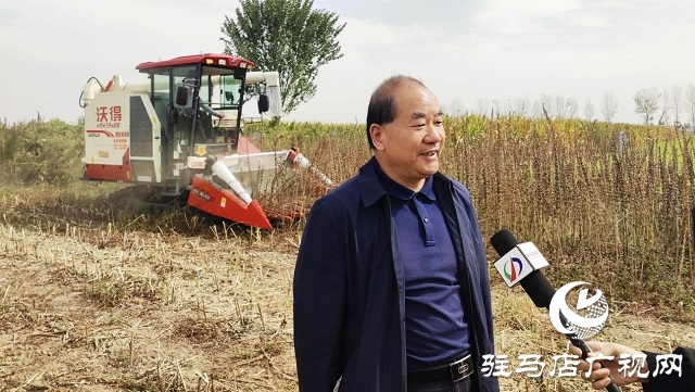 河南省農業(yè)良種聯(lián)合攻關項目——宜機收芝麻在駐馬店順利收割