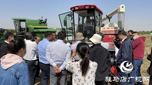 河南省農業(yè)良種聯(lián)合攻關項目——宜機收芝麻在駐馬店順利收割