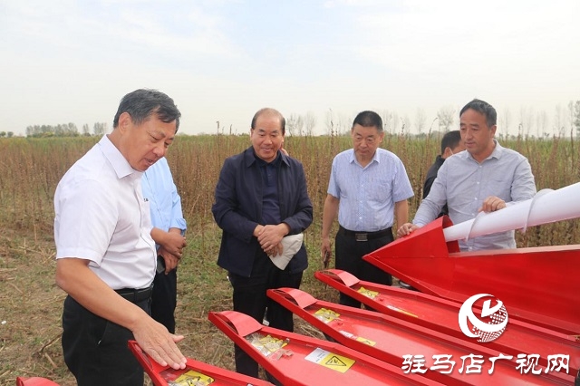 河南省農業(yè)良種聯(lián)合攻關項目——宜機收芝麻在駐馬店順利收割