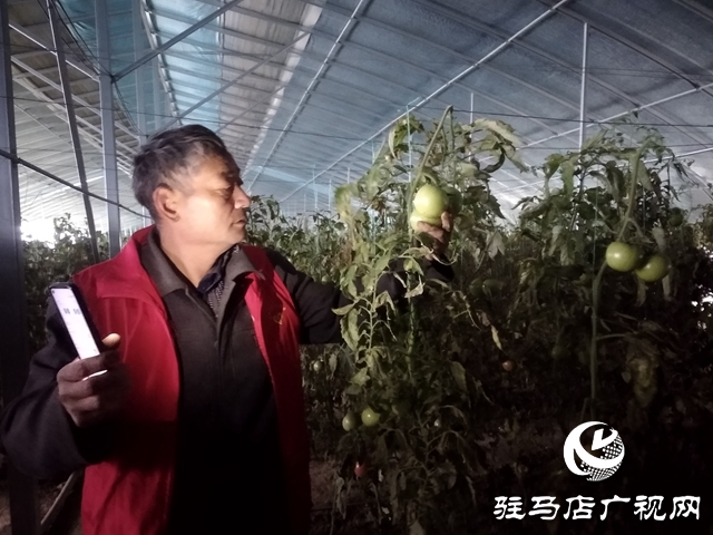 正陽(yáng)縣：“棚專家”開(kāi)啟多產(chǎn)業(yè)種植模式