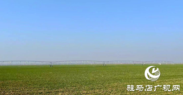 駐馬店：推進高標準農(nóng)田建設 夯實糧食安全根基