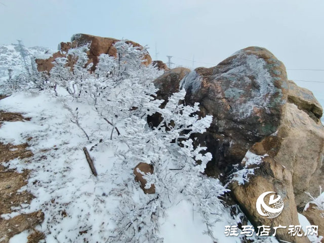 美呆了！羅漢山開啟雪凇、霧凇雙景齊現(xiàn)模式