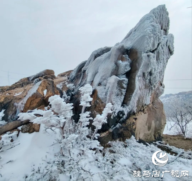 美呆了！羅漢山開啟雪凇、霧凇雙景齊現(xiàn)模式