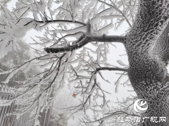 美呆了！羅漢山開啟雪凇、霧凇雙景齊現(xiàn)模式