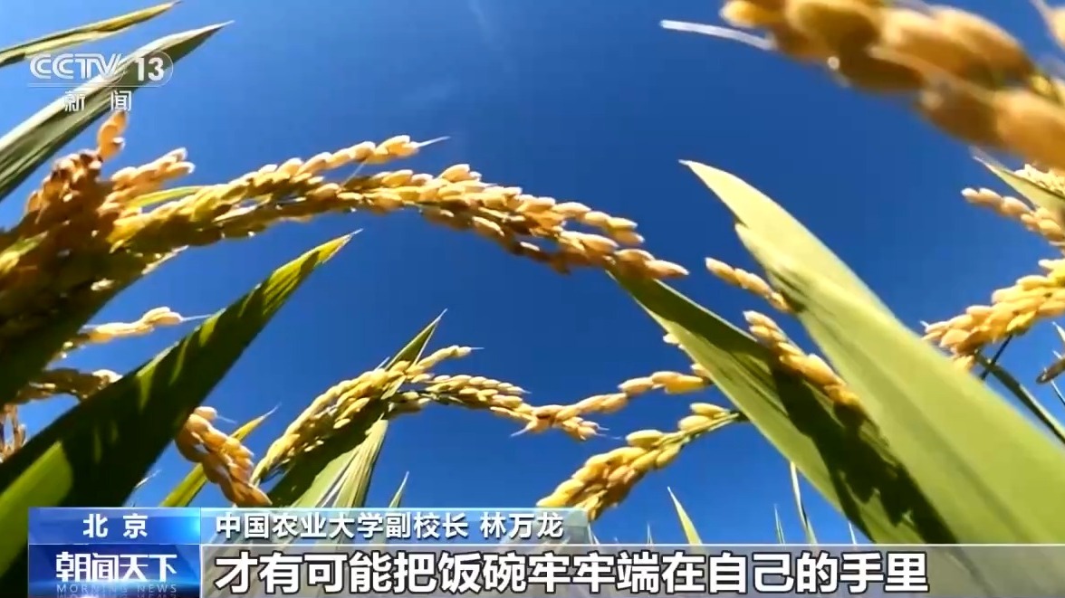 “大農(nóng)業(yè)觀”第一次寫入政府工作報(bào)告！今年“三農(nóng)”工作重點(diǎn)有這些
