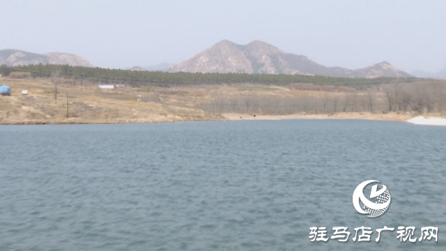 泌陽縣下碑寺鄉(xiāng)：以項目建設(shè)促進(jìn)全鄉(xiāng)經(jīng)濟(jì)社會高質(zhì)量發(fā)展