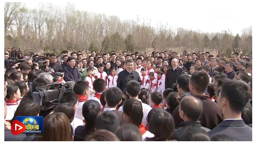 【央視快評】全民植樹增綠 共建美麗中國