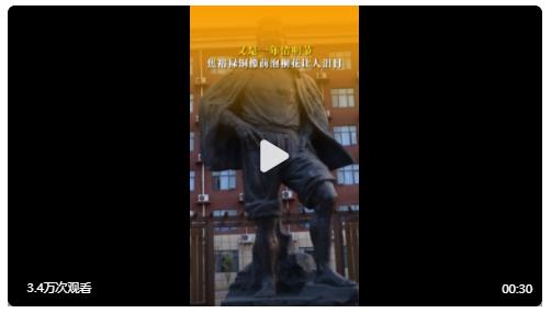 清明節(jié)焦裕祿銅像前泡桐花讓人淚目