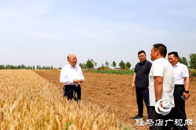 泌陽縣長(zhǎng)朱東升調(diào)研“三夏”生產(chǎn)工作