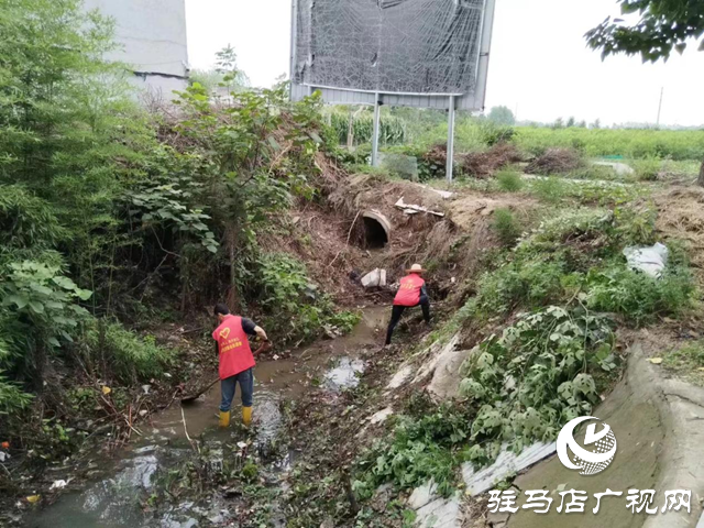 駐馬店經(jīng)濟(jì)開發(fā)區(qū)賈莊居委會志愿者冒雨清理河道