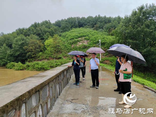 【防汛一線】確山縣石滾河鎮(zhèn)：防汛一線黨旗紅  守土盡責(zé)顯擔(dān)當(dāng)