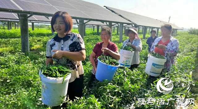 正陽(yáng)縣永興鎮(zhèn)：發(fā)揮黨建引領(lǐng)作用 全面促進(jìn)鄉(xiāng)村振興
