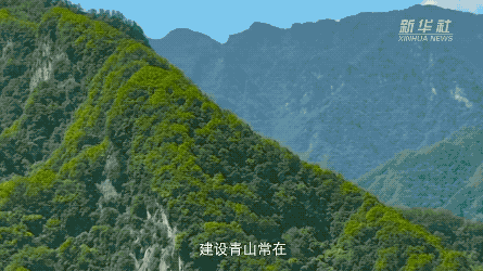 習(xí)近平講述的故事｜守護美麗黃山的“中國好人”
