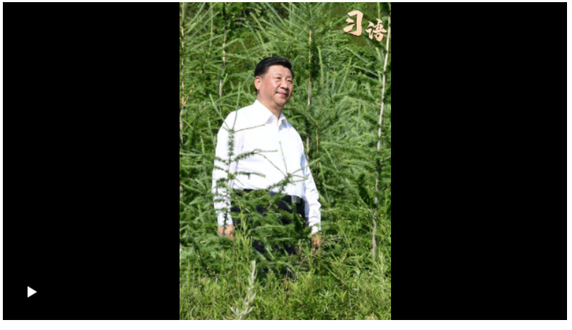 習語｜“人不負青山，青山定不負人”