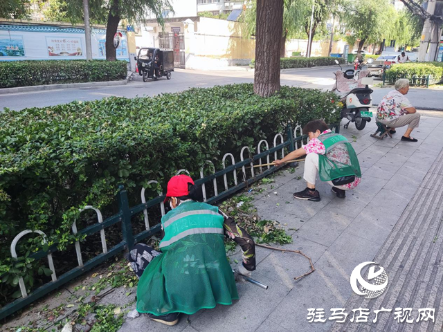 駐馬店經濟開發(fā)區(qū)：精心呵護苗木 美化城市“綠帶”