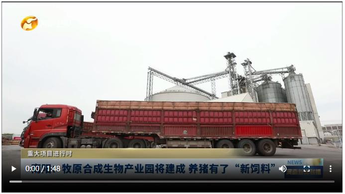 南陽：牧原合成生物產(chǎn)業(yè)園將建成 養(yǎng)豬有了“新飼料”丨重大項目進(jìn)行時