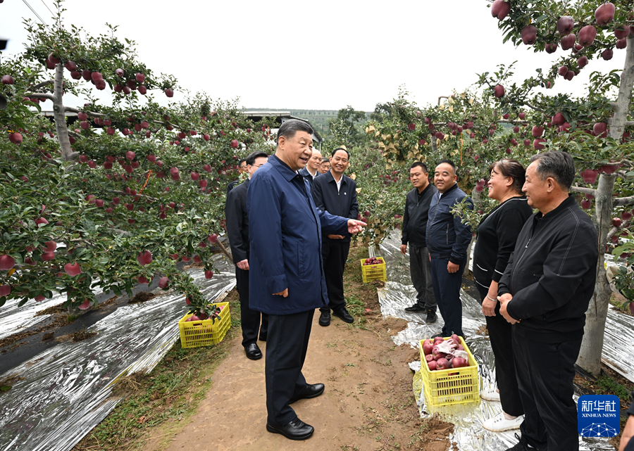 習近平在甘肅考察時強調 深化改革勇于創(chuàng)新苦干實干富民興隴 奮力譜寫中國式現代化甘肅篇章