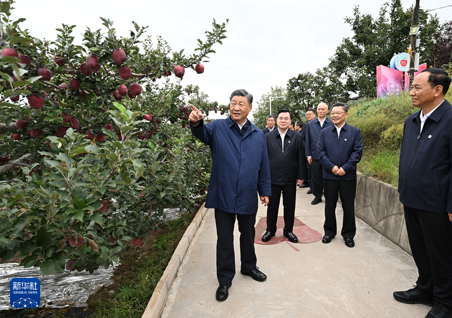 習近平在甘肅考察時強調 深化改革勇于創(chuàng)新苦干實干富民興隴 奮力譜寫中國式現代化甘肅篇章