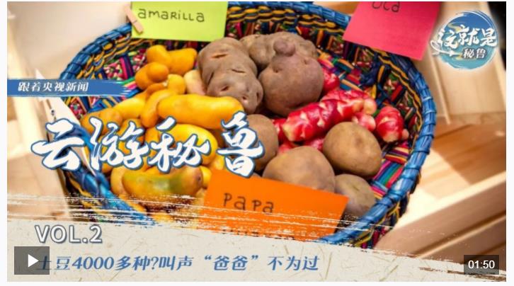 跟著習主席看世界丨“from China to Peru”是個英文成語你知道嗎？