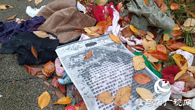 綠化帶成了“垃圾帶” 環(huán)境臟亂誰來管？