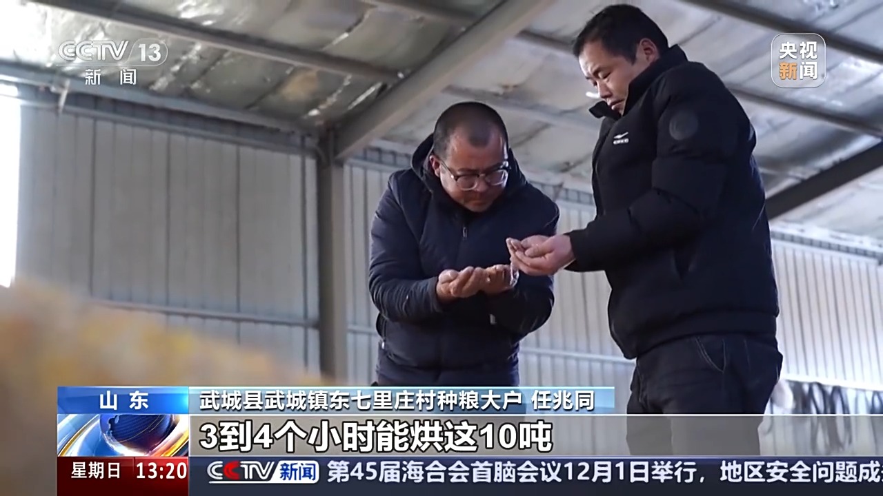 有進(jìn)度更有“溫度” 秋糧累計(jì)收購達(dá)1.2億噸