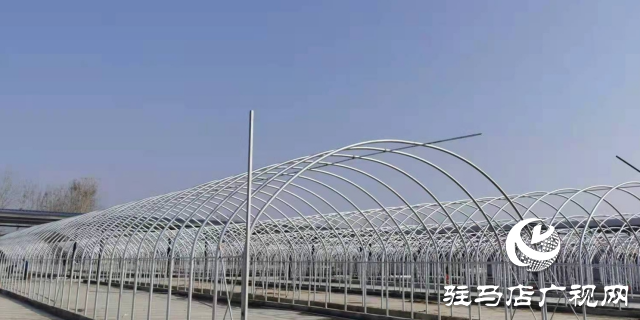 泌陽縣：推動食用菌產業(yè)高質量發(fā)展