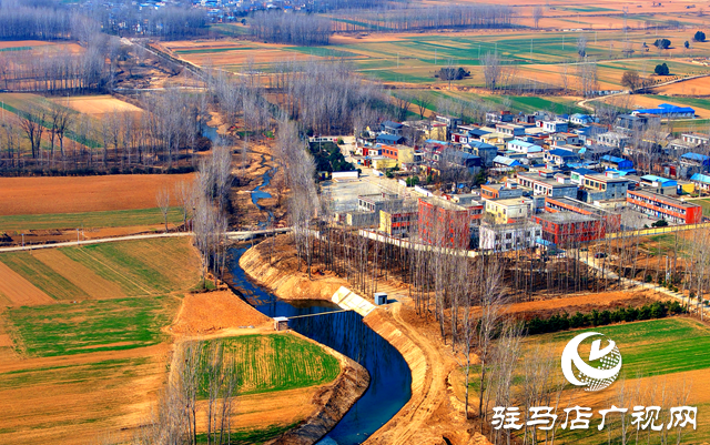 泌陽縣黃山口鄉(xiāng)：走穩(wěn)小麥“田管棋”，繪就夏收好“豐”景