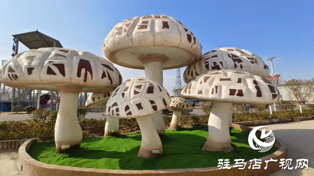 公交直達！泌陽縣花菇博物館開啟奇妙之旅