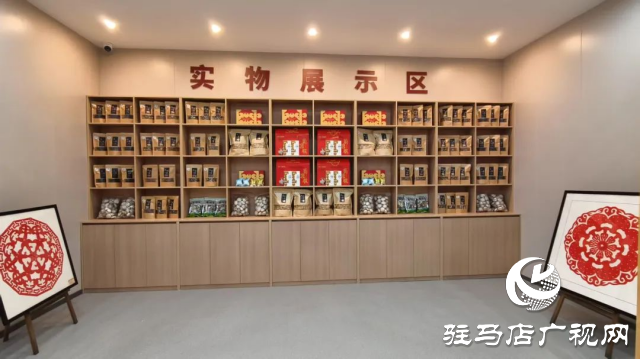 公交直達！泌陽縣花菇博物館開啟奇妙之旅