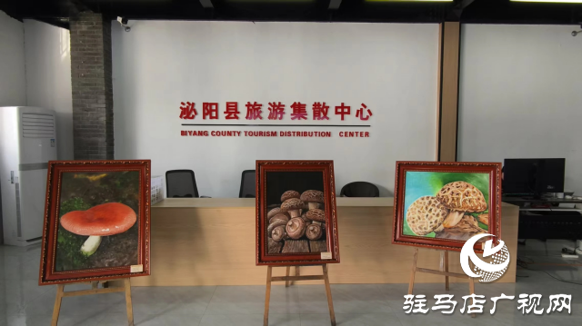 公交直達！泌陽縣花菇博物館開啟奇妙之旅