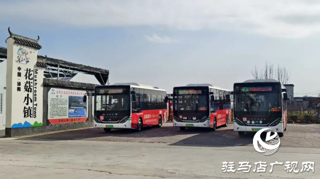 公交直達！泌陽縣花菇博物館開啟奇妙之旅