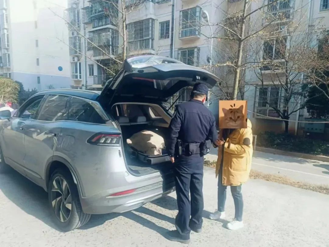 “網(wǎng)約車送現(xiàn)金”可修復(fù)數(shù)據(jù)返現(xiàn)？“這群里除了你，都是托！”