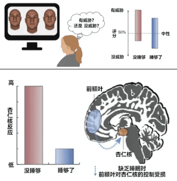 你以為的正?，F(xiàn)象，其實是睡眠不足！這份“熬夜急救包”請收好