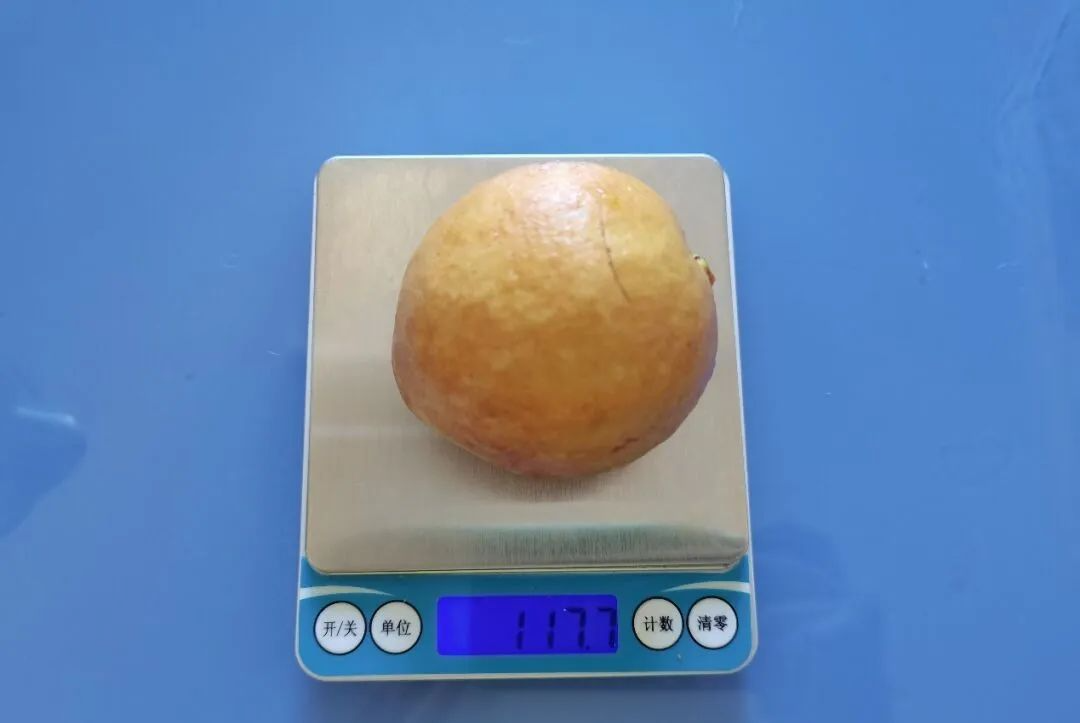 這種水果維C比蘋(píng)果高21倍，春天吃正好！