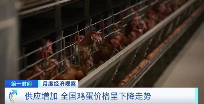 需求減少、供應增加 全國雞蛋價格呈下降走勢