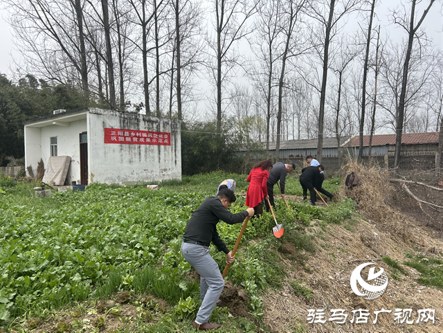正陽縣：捐贈果樹送溫暖 愛心助農添新綠