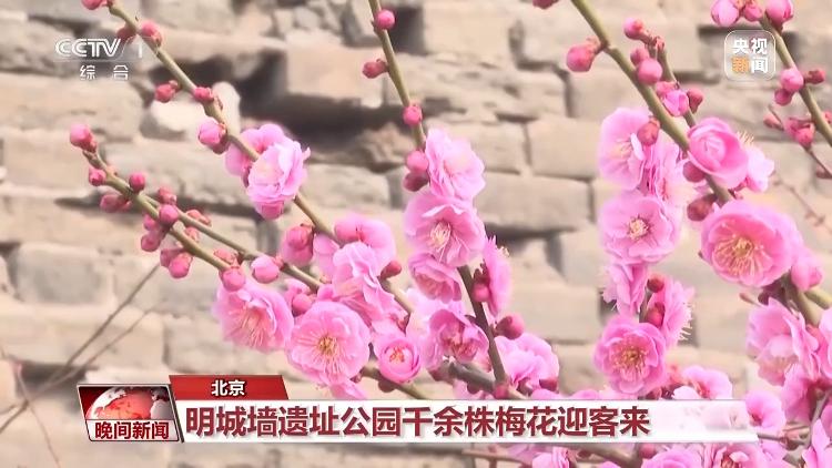 春天就是要看花花花花花，熱門春游目的地藏在這里
