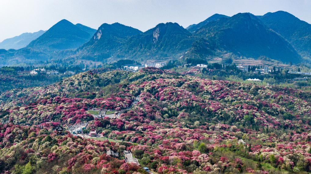 接下來這半個多月，這些地方會很美！