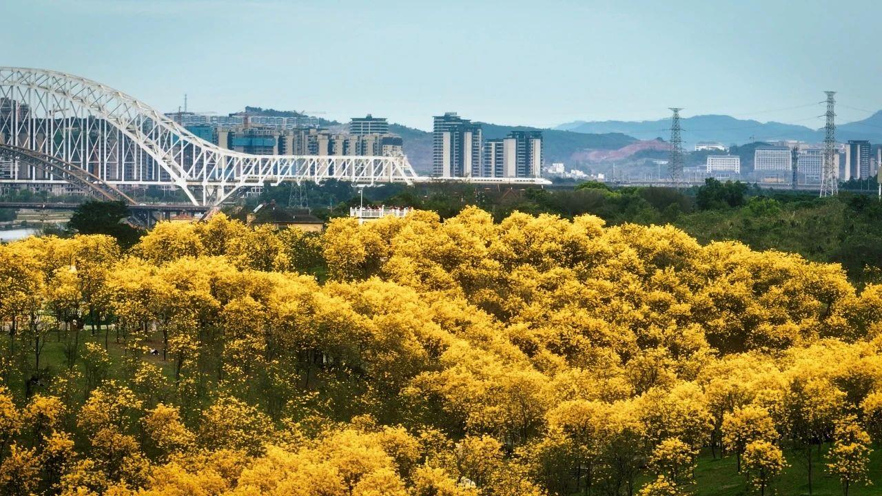春意漸濃，這條高鐵沿線的寶藏城市“藏不住”了！
