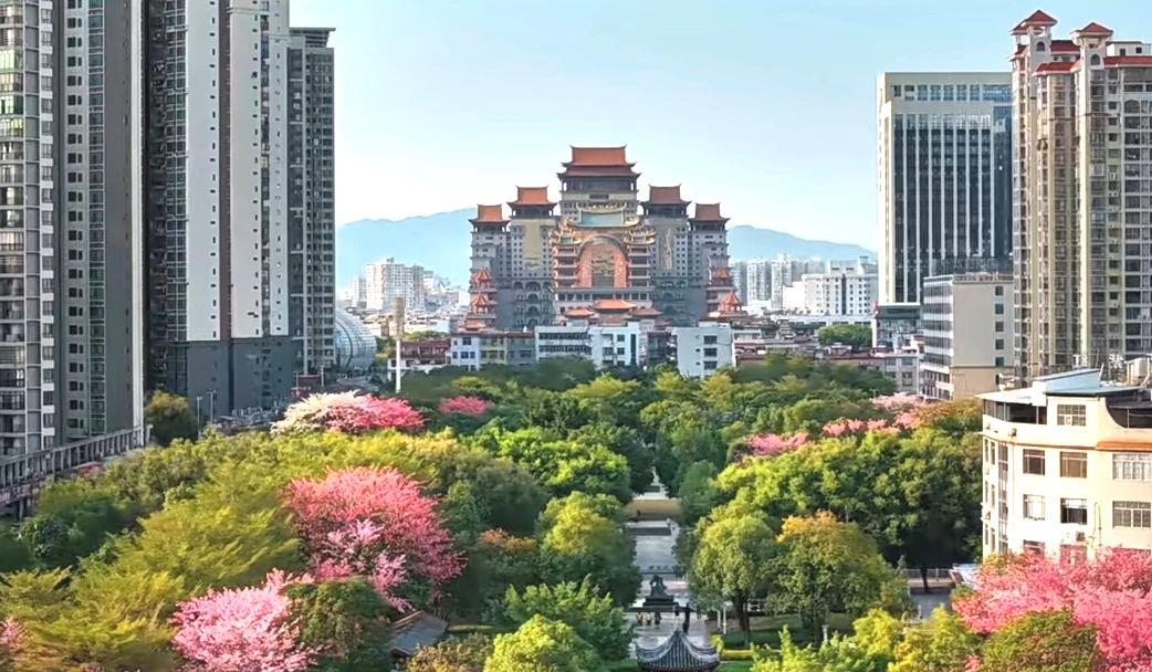 春意漸濃，這條高鐵沿線的寶藏城市“藏不住”了！