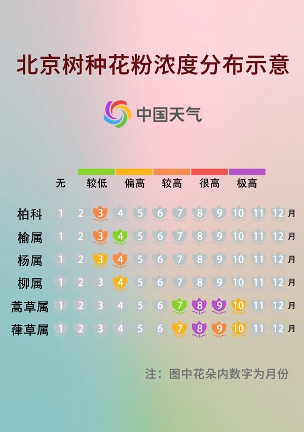 前方噴嚏警告！又到花粉過敏季，四招教你有效預防