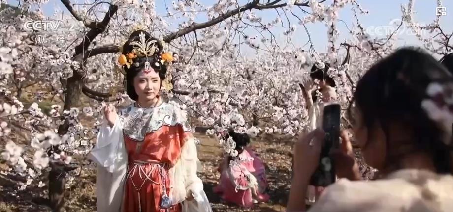 以“花”為媒、以“旅”促農 勾勒鄉(xiāng)村振興新圖景