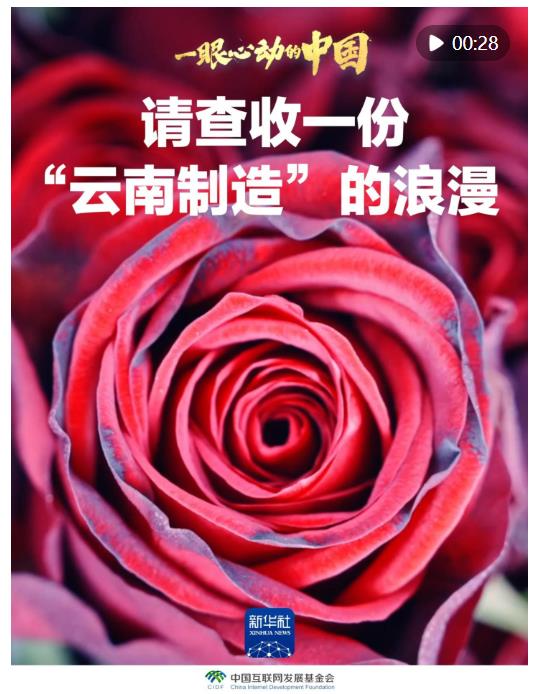 一眼心動的中國｜請查收一份“云南制造”的浪漫