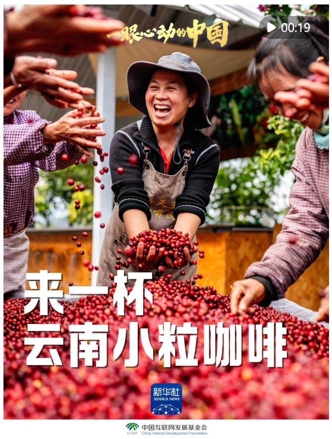 一眼心動的中國｜來一杯云南小?？Х? width=