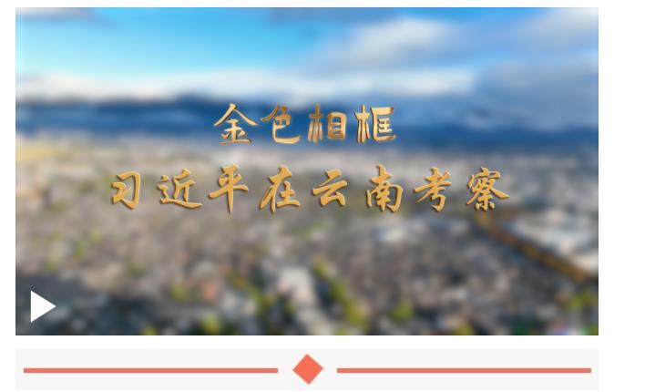 幸福生活，像花兒一樣綻放——習(xí)近平總書記在貴州和云南考察紀(jì)實(shí)