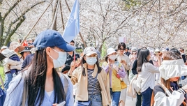 跟團旅游回程沒票，要不要付尾款